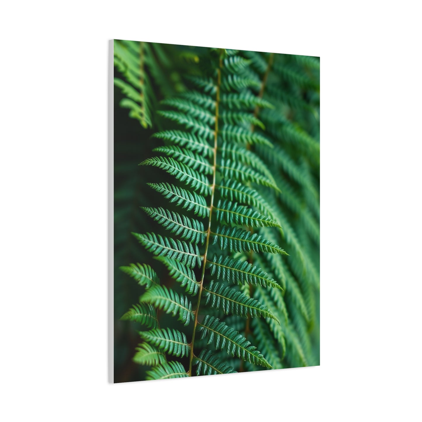 Elite Fern Art Vision Wall Art & Canvas Print