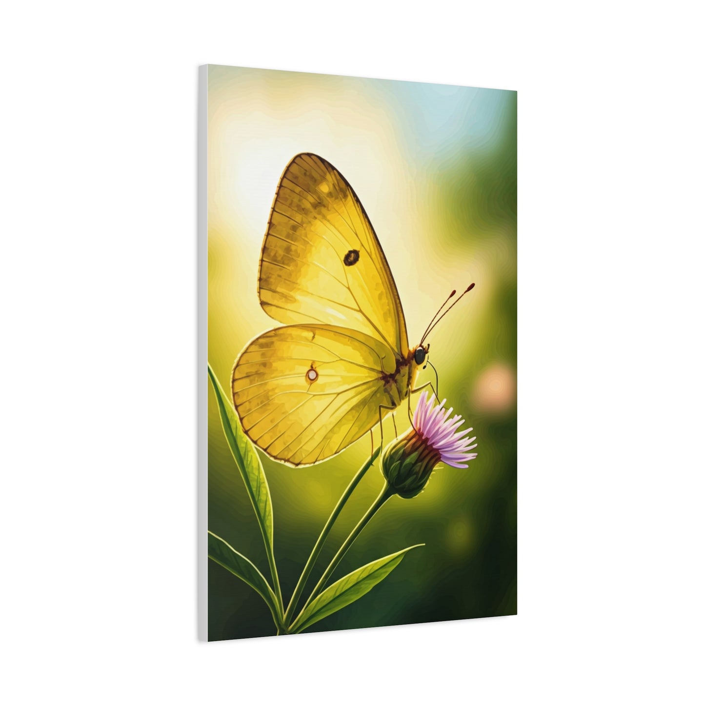 Golden Light Butterfly Close-Up Wall Art & Canvas Prints