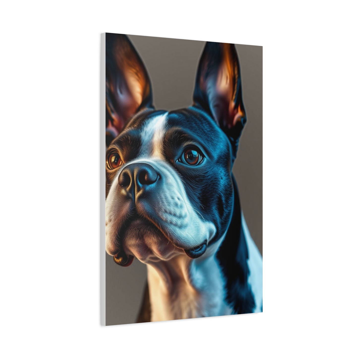 Boston Terrier Art Premium Gallery Wall Art & Canvas Print