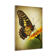 Golden Meadow Butterfly on Flower Wall Art & Canvas Prints
