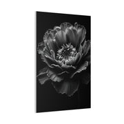 Layered Peony in Soft Shadow Wall Art & Canvas Prints