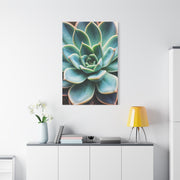 Sage Succulent Bloom Wall Art & Canvas Prints