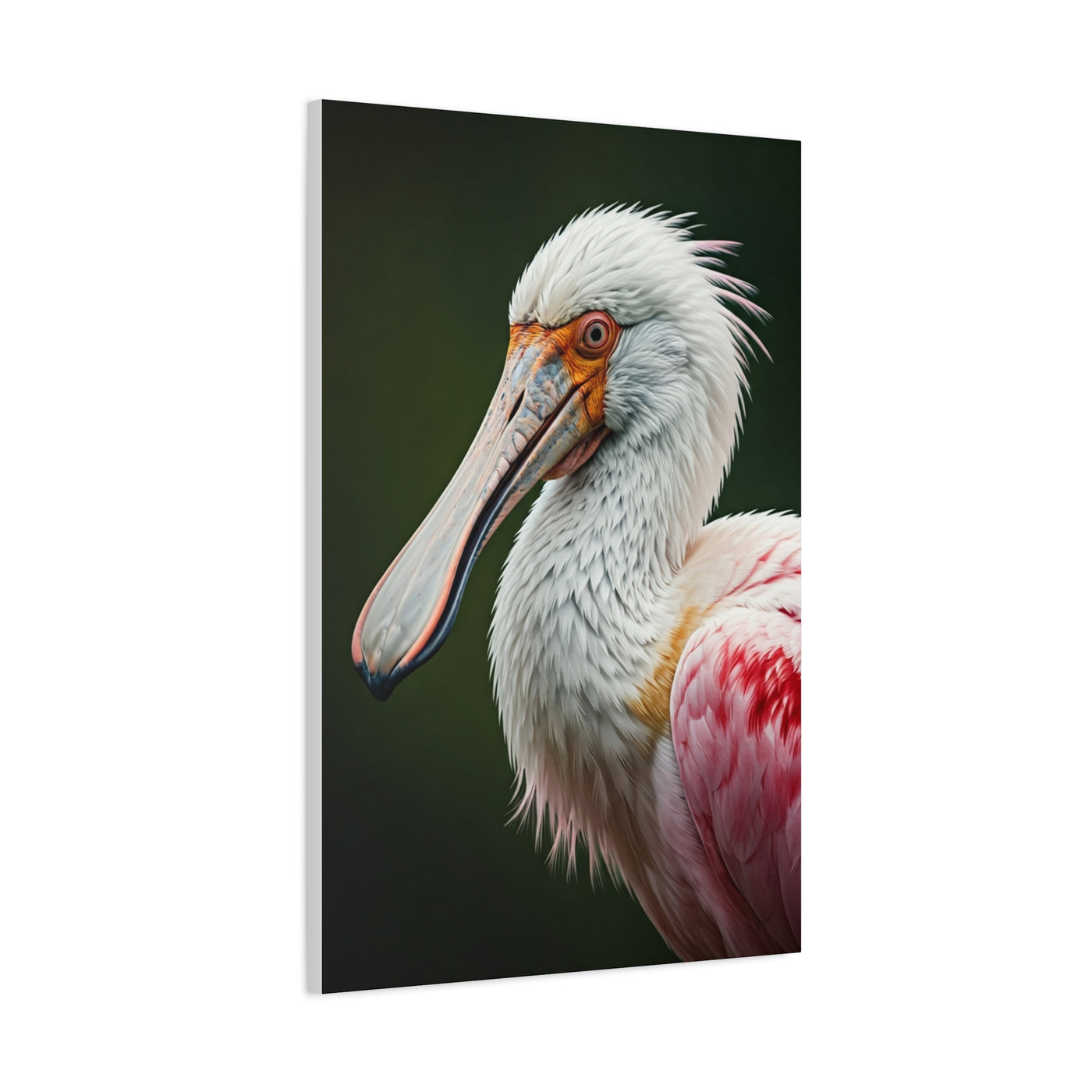Elegant Pink Pelican Portrait Wall Art & Canvas Prints