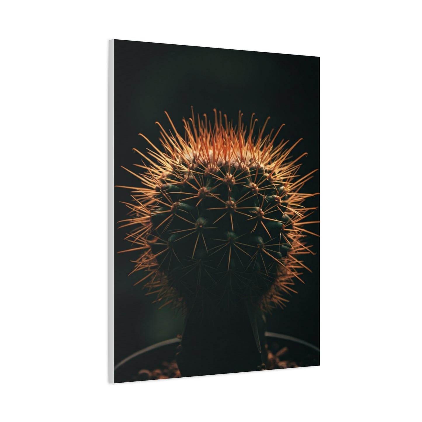 Midnight Desert Cactus Wall Art & Canvas Prints