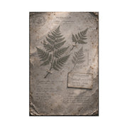 Antique Fern Herbarium Archive Wall Art & Canvas Print