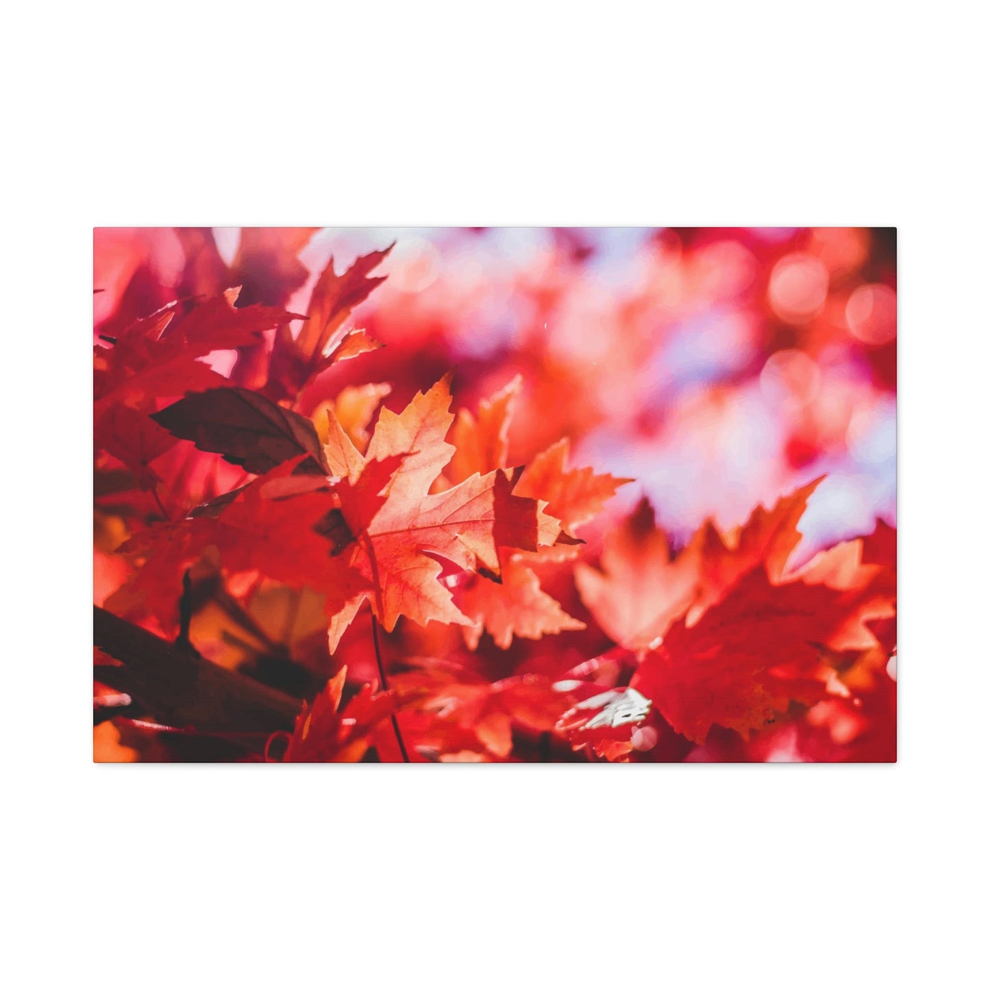 Autumn Flower Wall Art & Canvas Prints