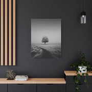 Lone Tree Winter Field Wall Art & Canvas Print