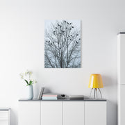 Tree of Crows Silhouette Wall Art & Canvas Print