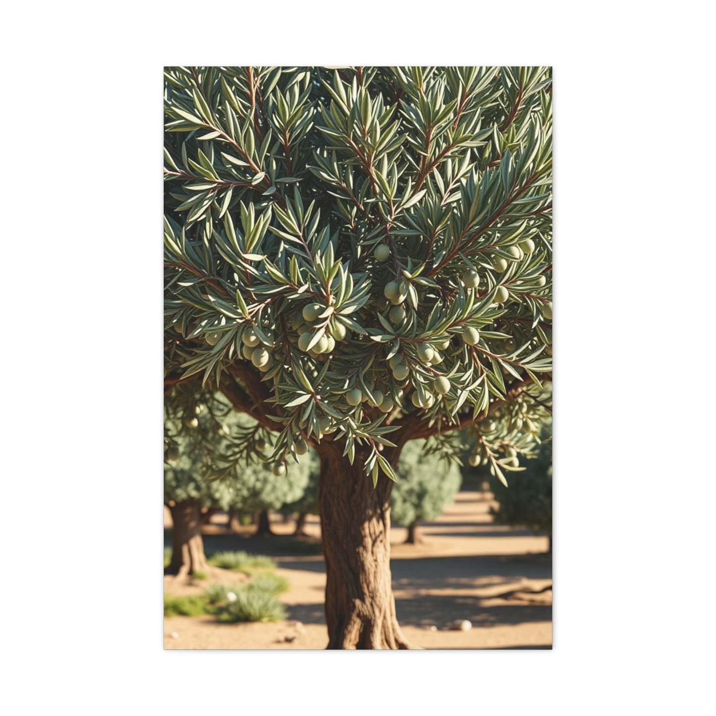 Olive Tree Art Supreme Canvas Wall Art & Canvas Print