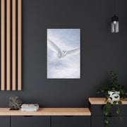 Snowy Owl Winter Flight Minimal Wall Art & Canvas Print