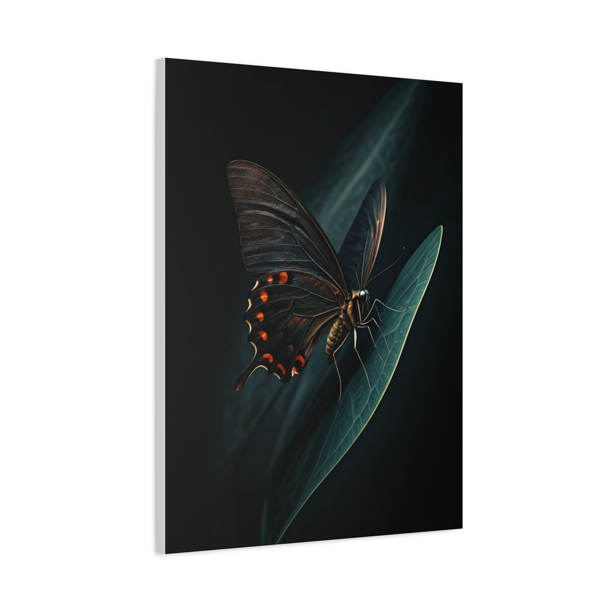 Dark Swallowtail Butterfly on Leaf Wall Art & Canvas Prints