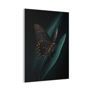 Dark Swallowtail Butterfly on Leaf Wall Art & Canvas Prints