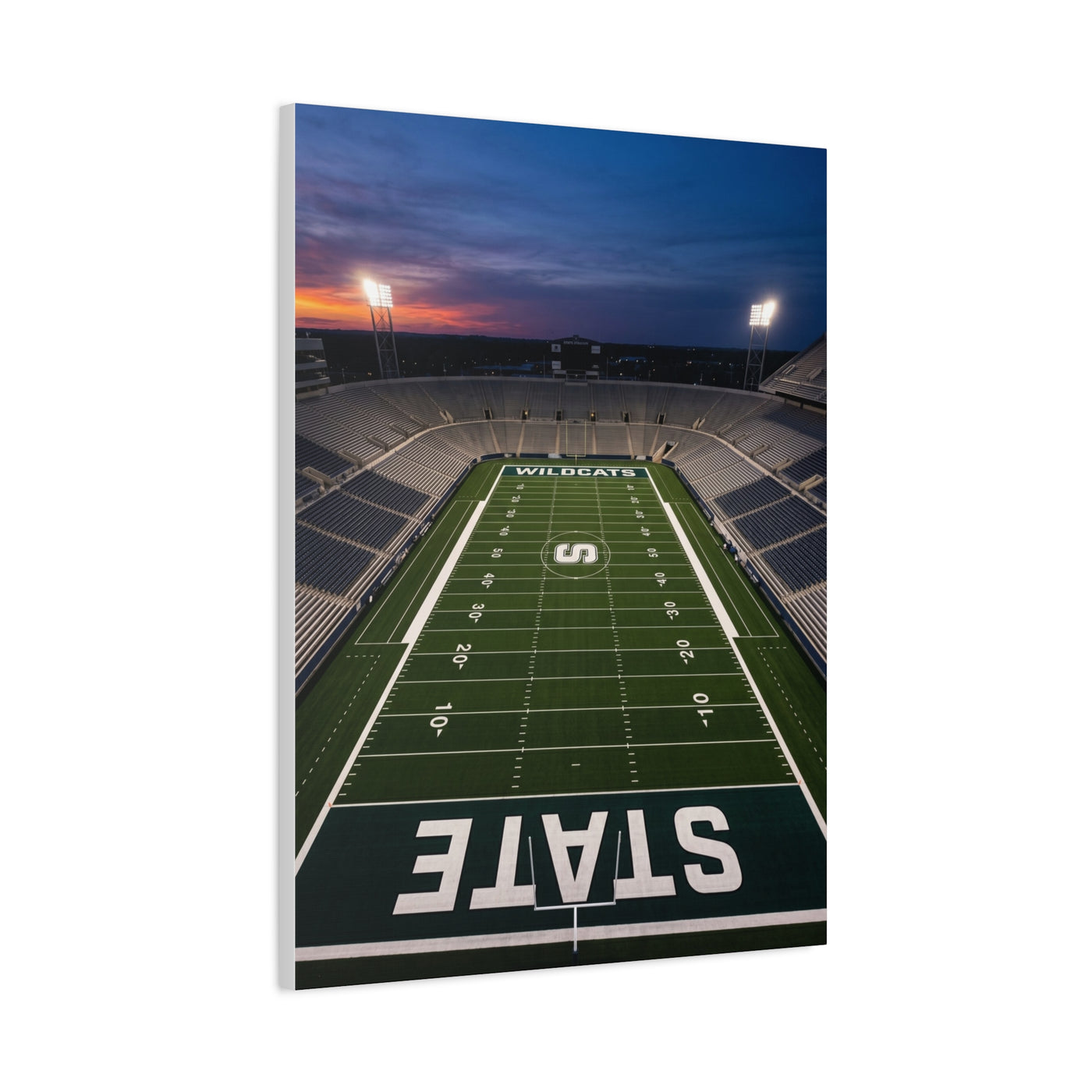 Stadium Under Lights Panorama Sports Wall Art & Canvas Print