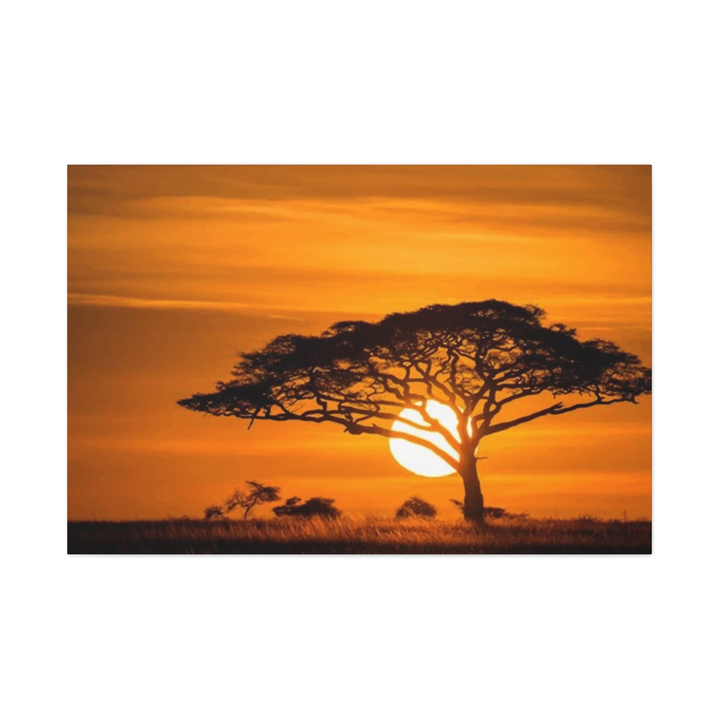 African Wall Art & Canvas Prints