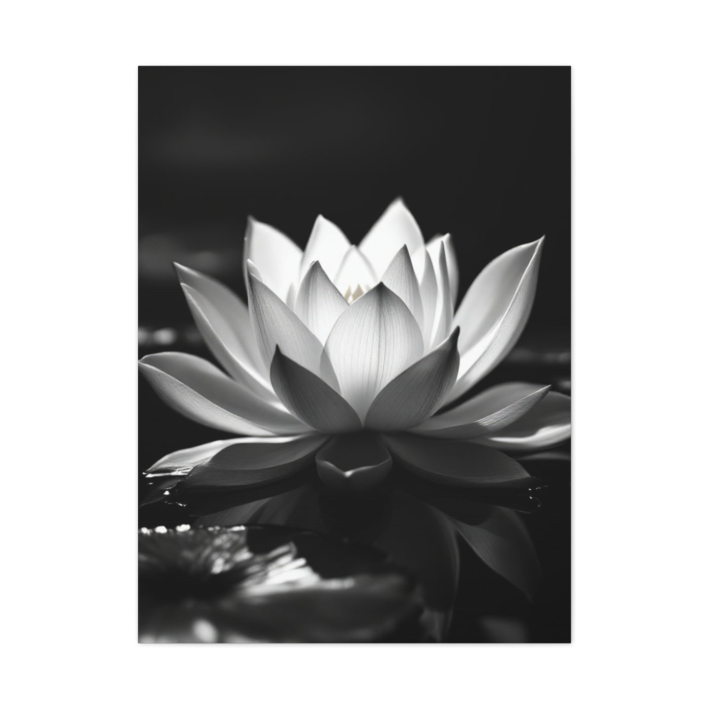 Serene Lotus Reflection Wall Art & Canvas Prints