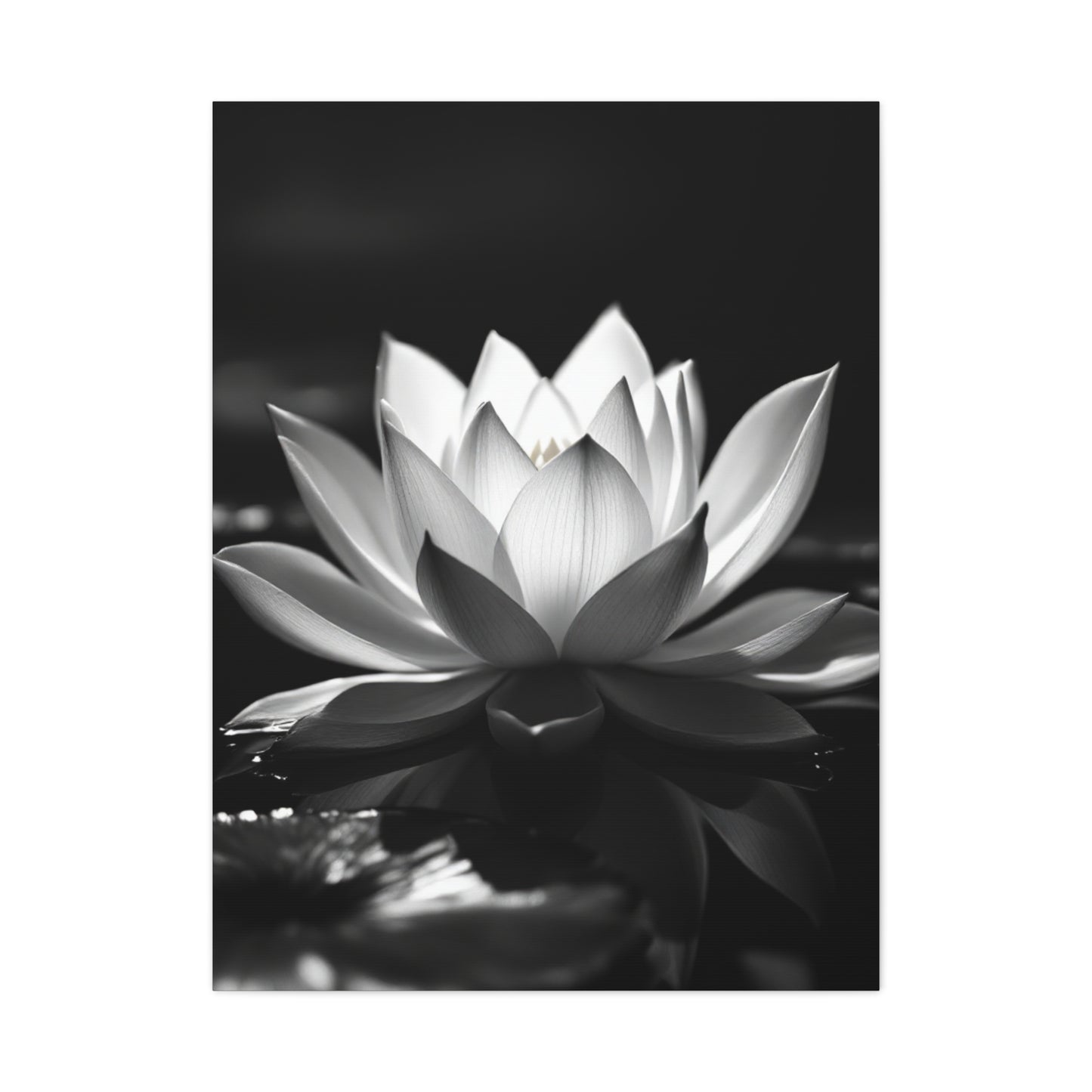 Serene Lotus Reflection Wall Art & Canvas Prints