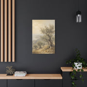 Mediterranean Olive Grove Light Trees Wall Art & Canvas Print