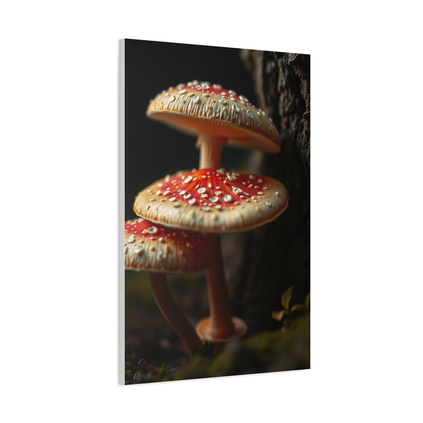 Vision Mushrooms Wall Art Art Wall Art & Canvas Print