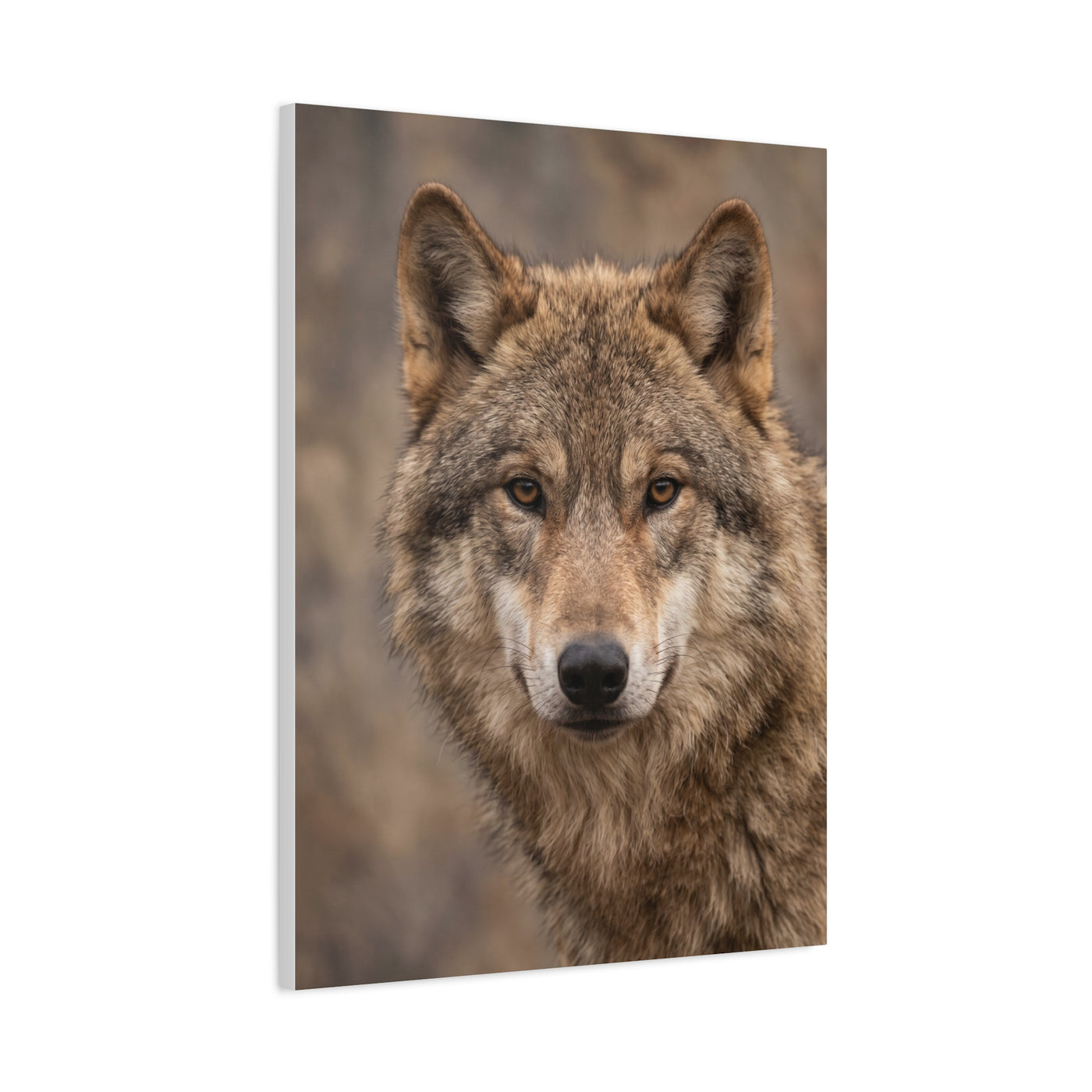 Natural Gray Wolf Close Portrait Wall Art & Canvas Print
