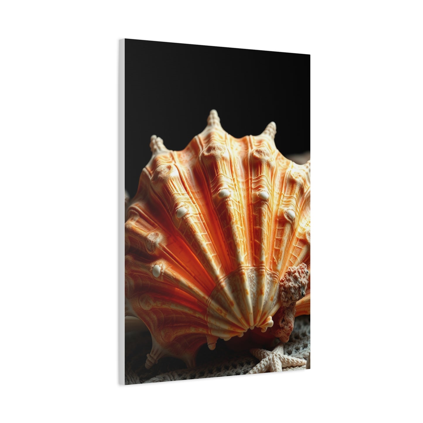 Sea Shell Art Supreme Canvas Wall Art & Canvas Print