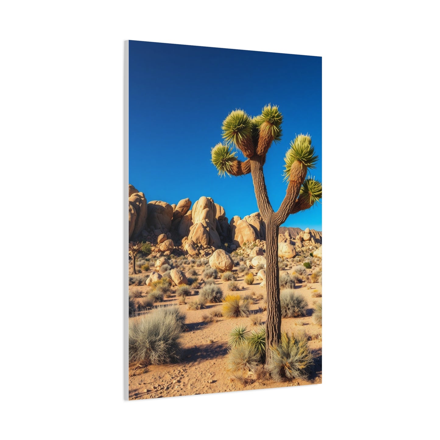 Joshua Tree National Park Art Luxury Canvas Wall Art & Canvas Print