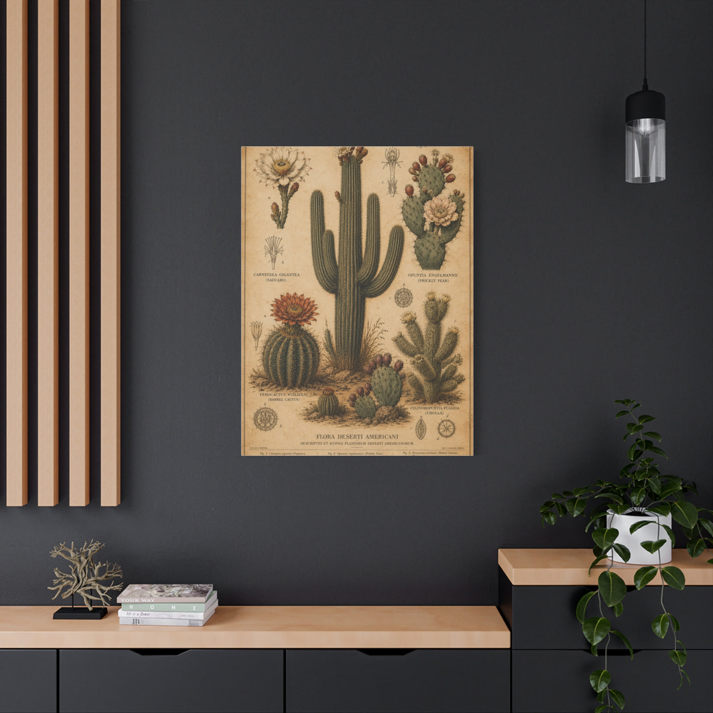 Vintage Desert Botanical Study Southwest Wall Art & Canvas Print