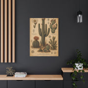 Vintage Desert Botanical Study Southwest Wall Art & Canvas Print