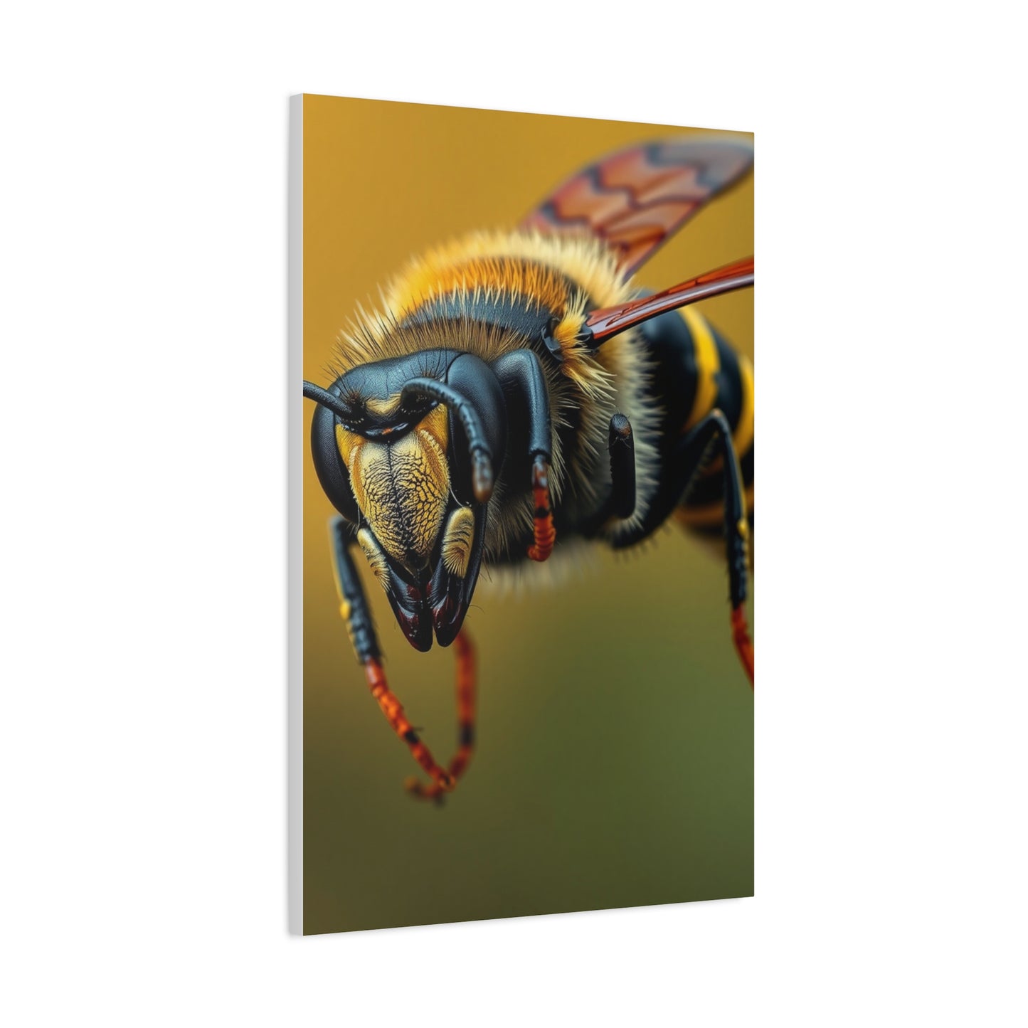 Bees, Hornet & Wasps Art Canvas Art 1 Wall Art & Canvas Print