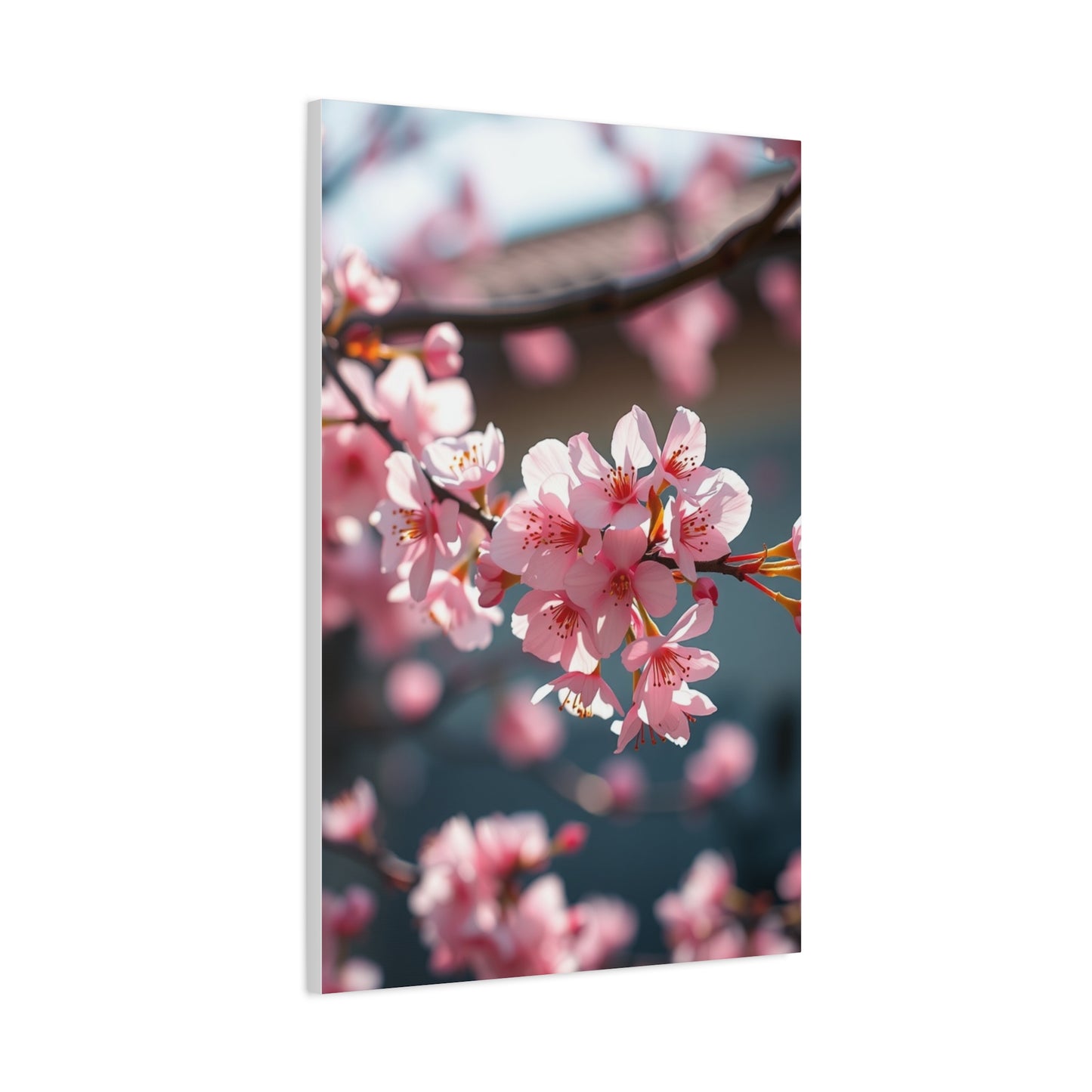 Blossom Reverie Canvas