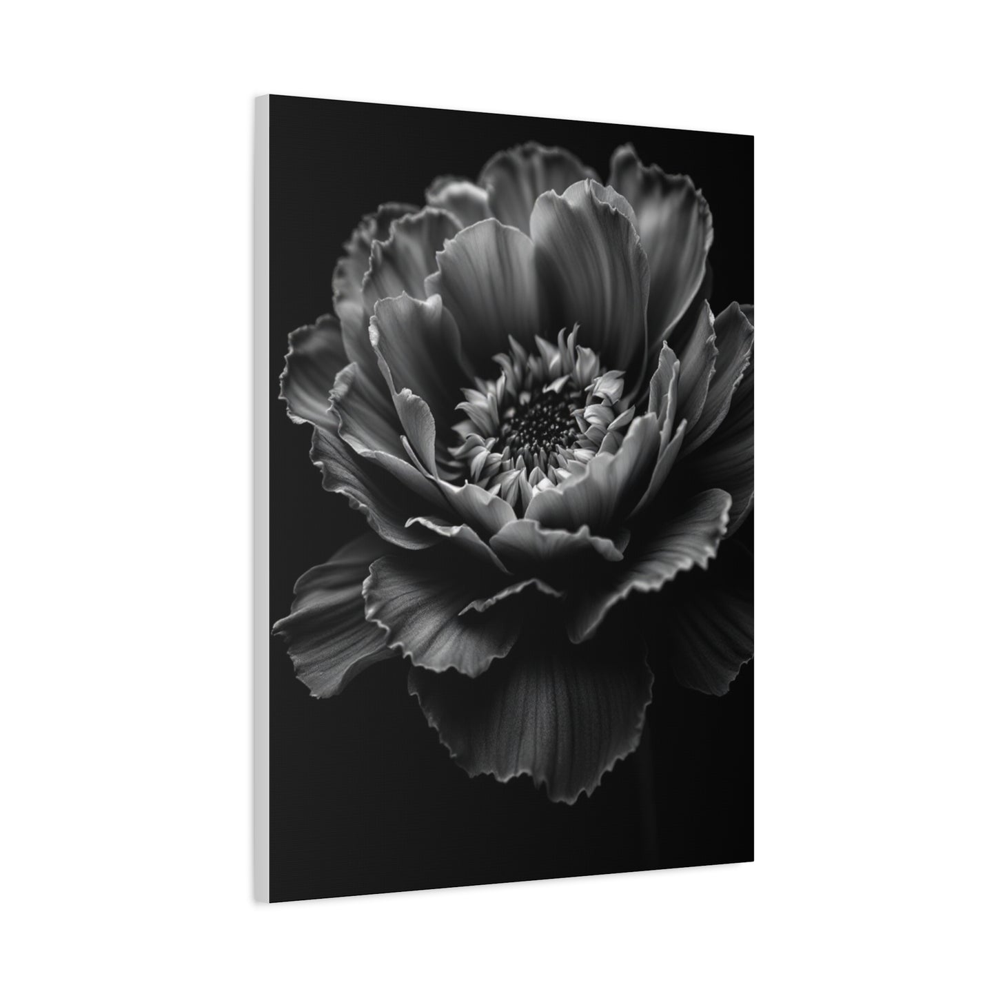 Layered Peony in Soft Shadow Wall Art & Canvas Prints