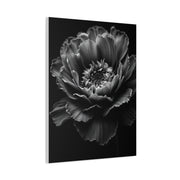 Layered Peony in Soft Shadow Wall Art & Canvas Prints