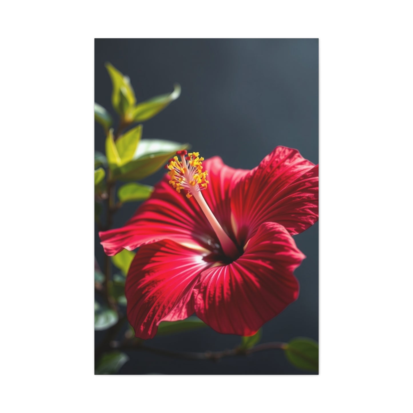 Hibiscus Flower Art Supreme Canvas Wall Art & Canvas Print