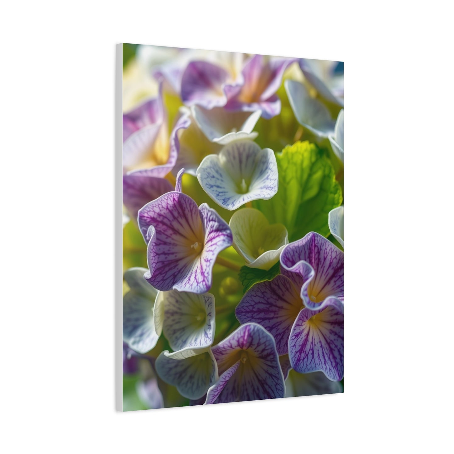 Hydrangea Flower Art Supreme Canvas Wall Art & Canvas Print