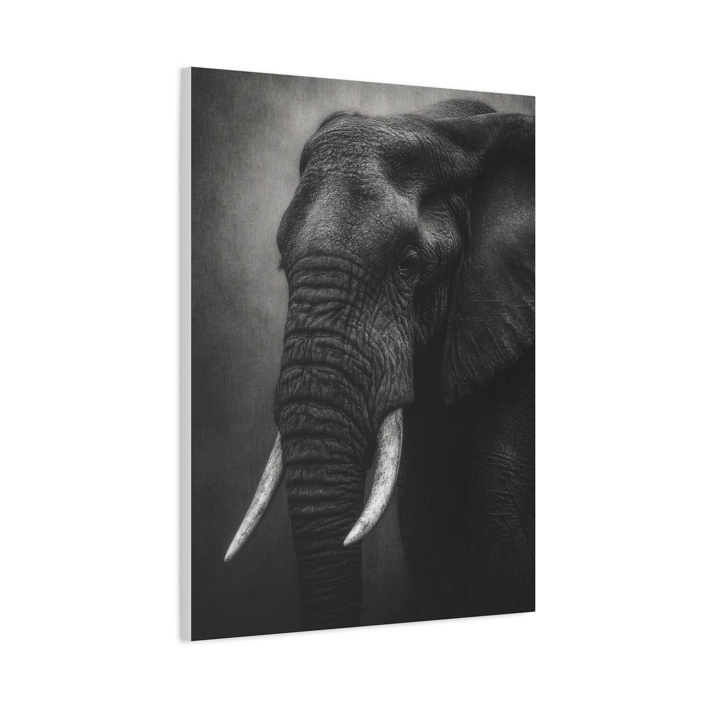 Monochrome Elephant Fine Art Portrait Wall Art & Canvas Print