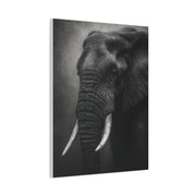 Monochrome Elephant Fine Art Portrait Wall Art & Canvas Print