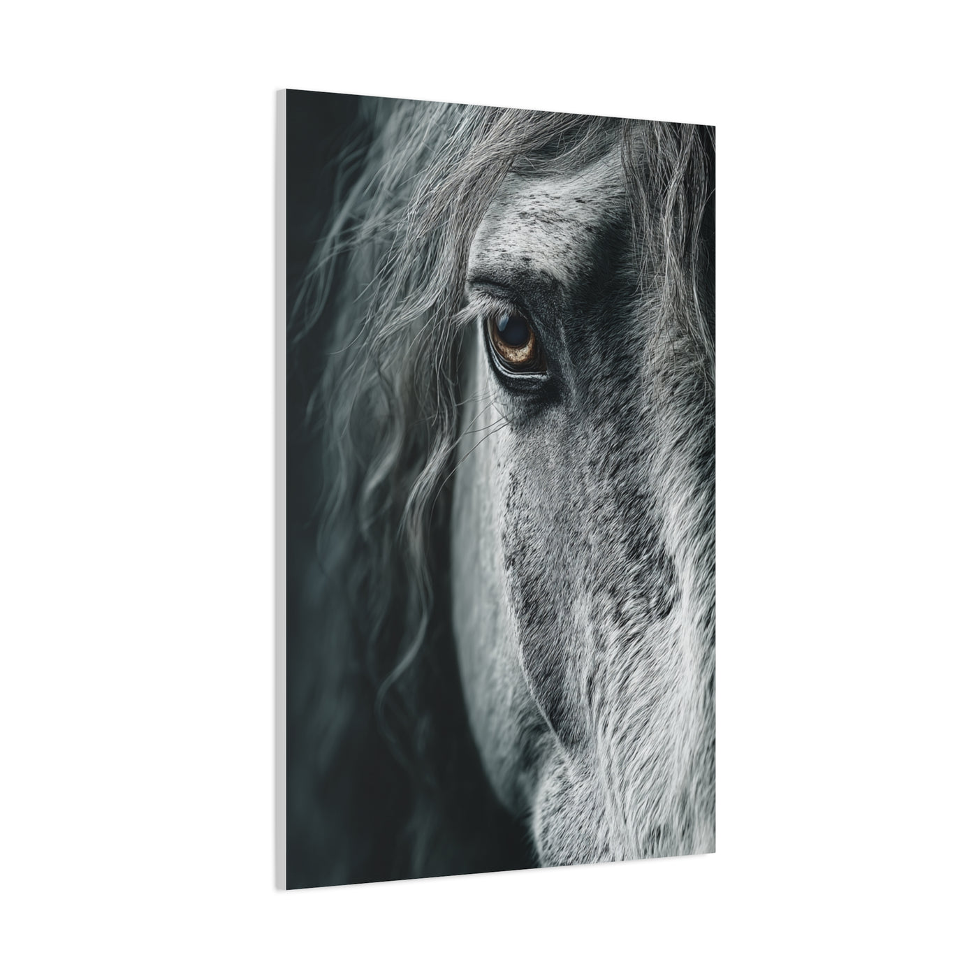 Horse Eye Intimate Monochrome Wall Art & Canvas Print