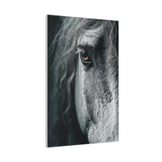 Horse Eye Intimate Monochrome Wall Art & Canvas Print