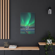 Arctic Fox Aurora Night Wall Art & Canvas Print