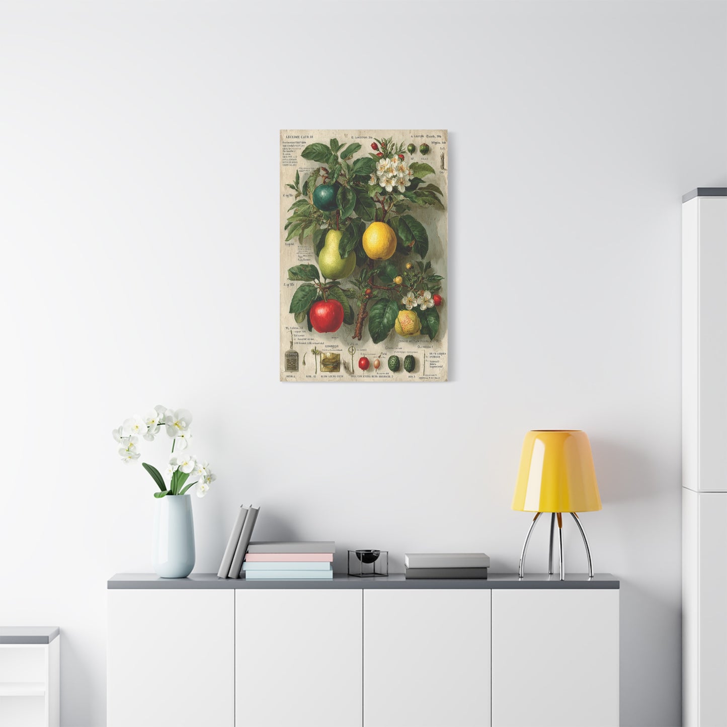 Antique Pomology Botanical Study Wall Art & Canvas Print