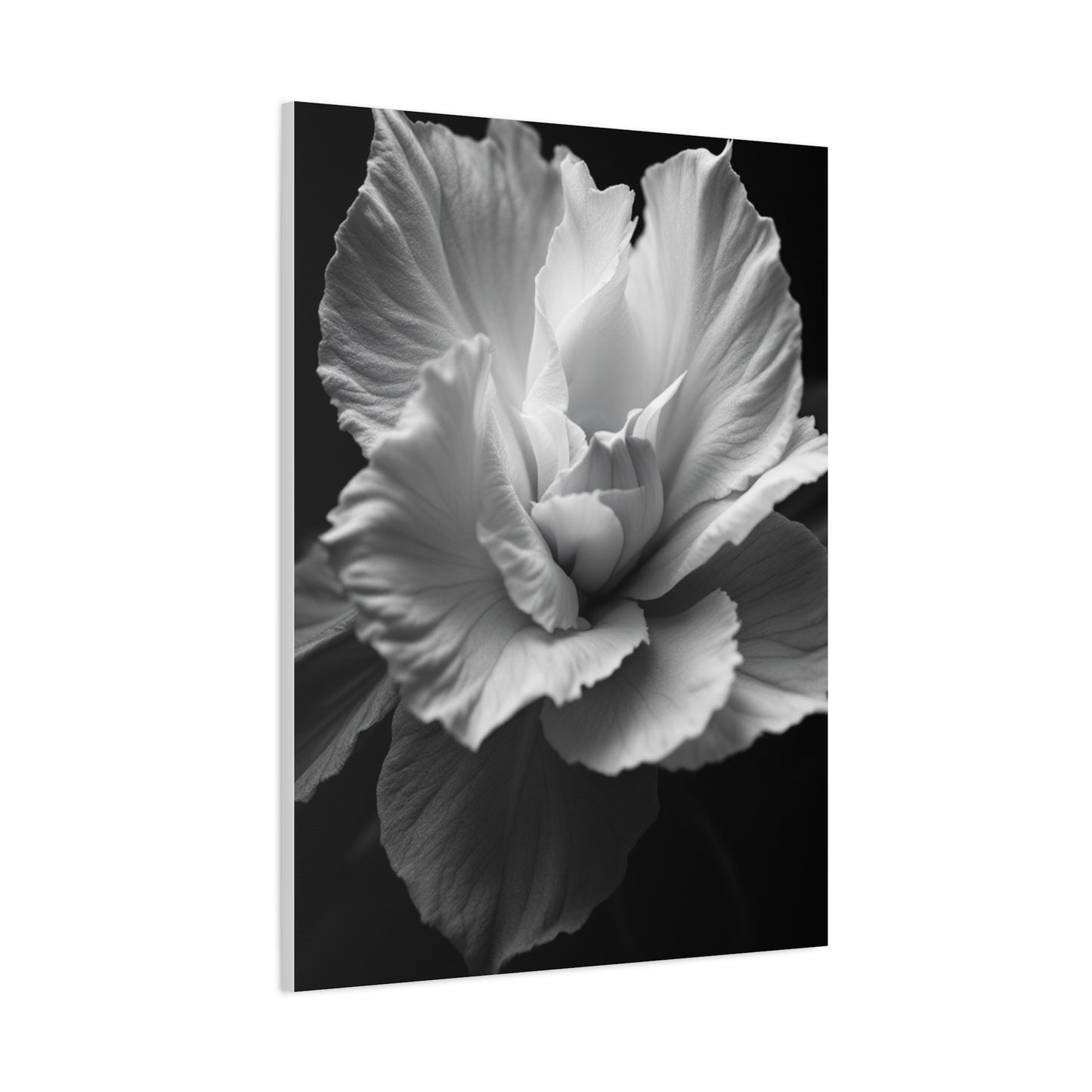 Sculpted Petal Elegance Close-Up Wall Art & Canvas Prints