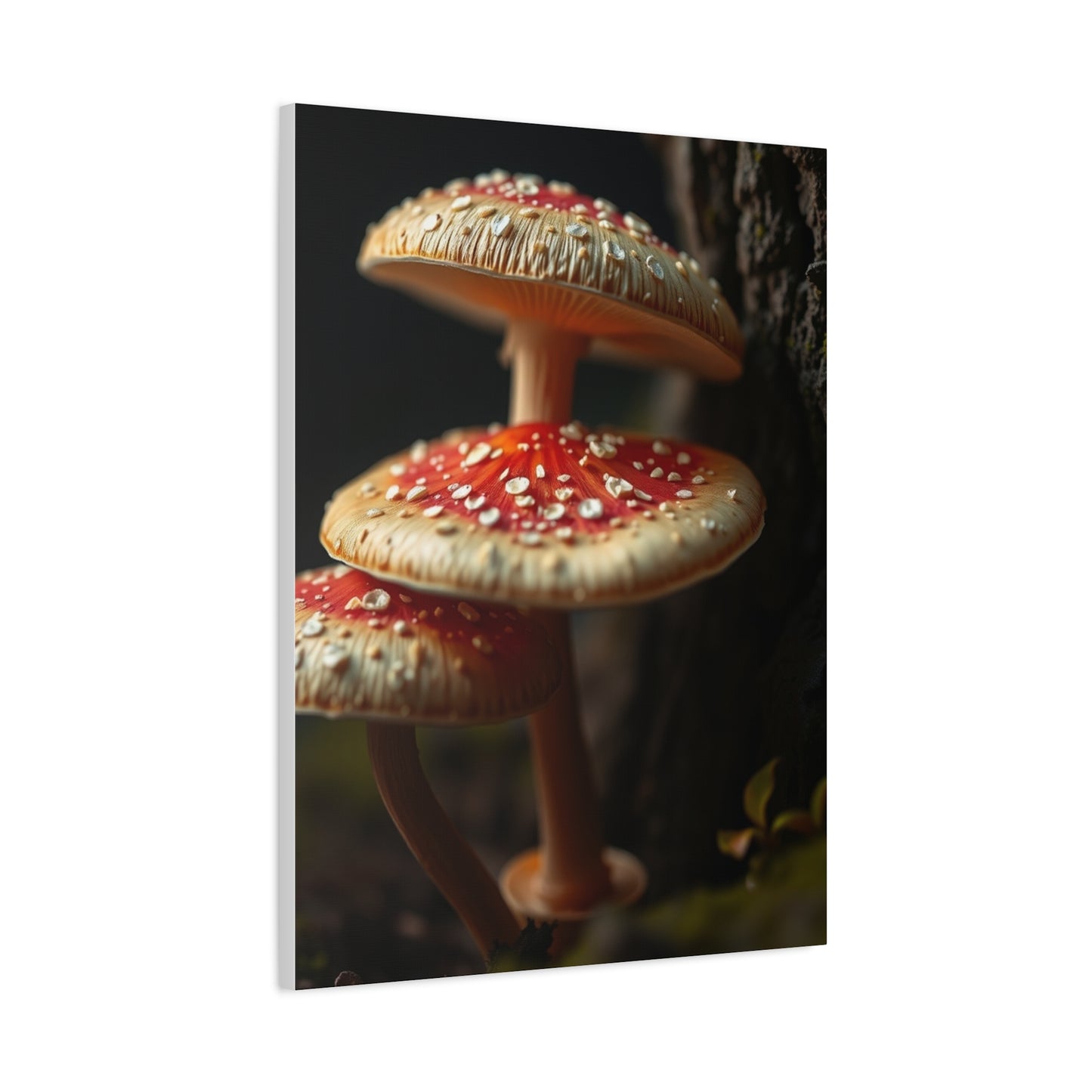 Vision Mushrooms Wall Art Art Wall Art & Canvas Print