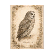 Antique Natural History Owl Study Wall Art & Canvas Print