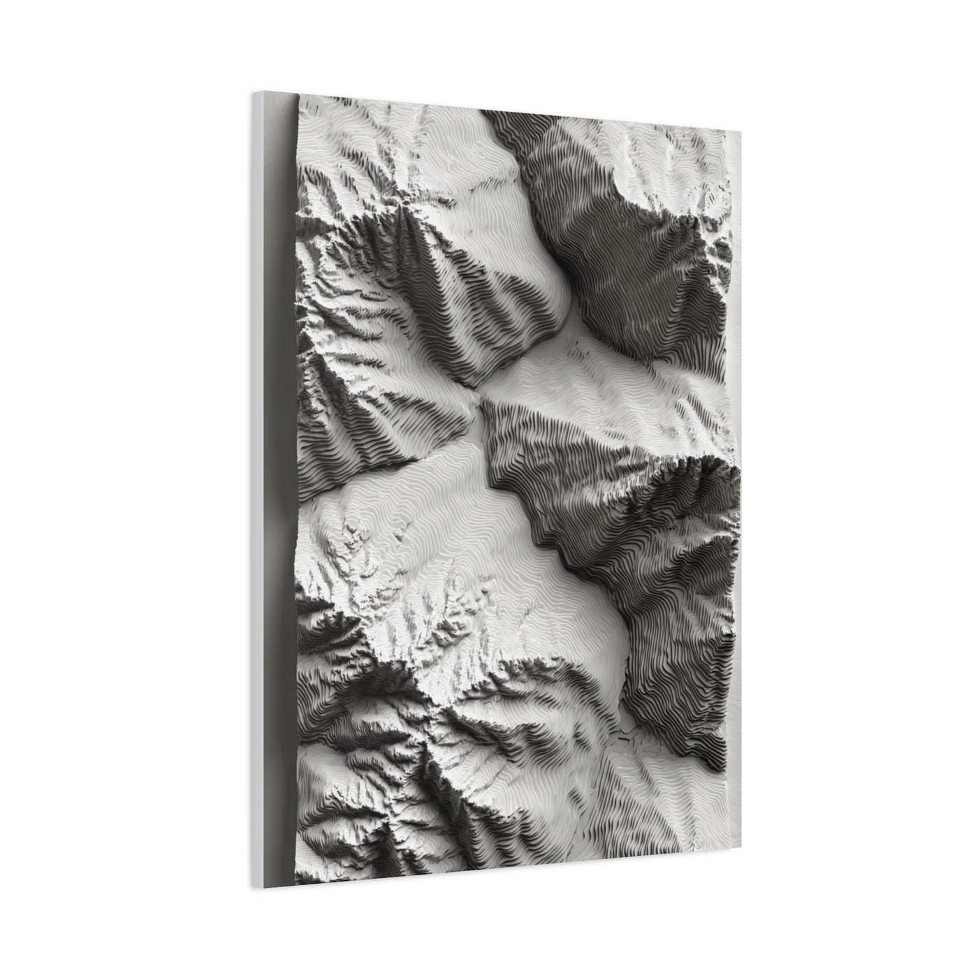 Sculpted Topographic Relief Wall Art & Canvas Print