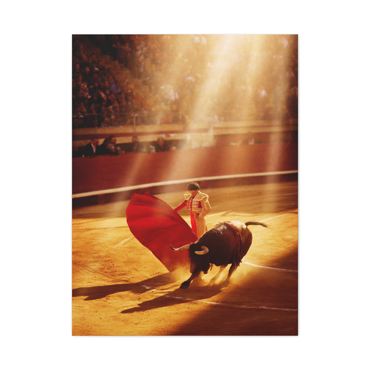 Golden Arena Matador Bullfight Wall Art & Canvas Print