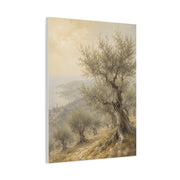 Mediterranean Olive Grove Light Trees Wall Art & Canvas Print