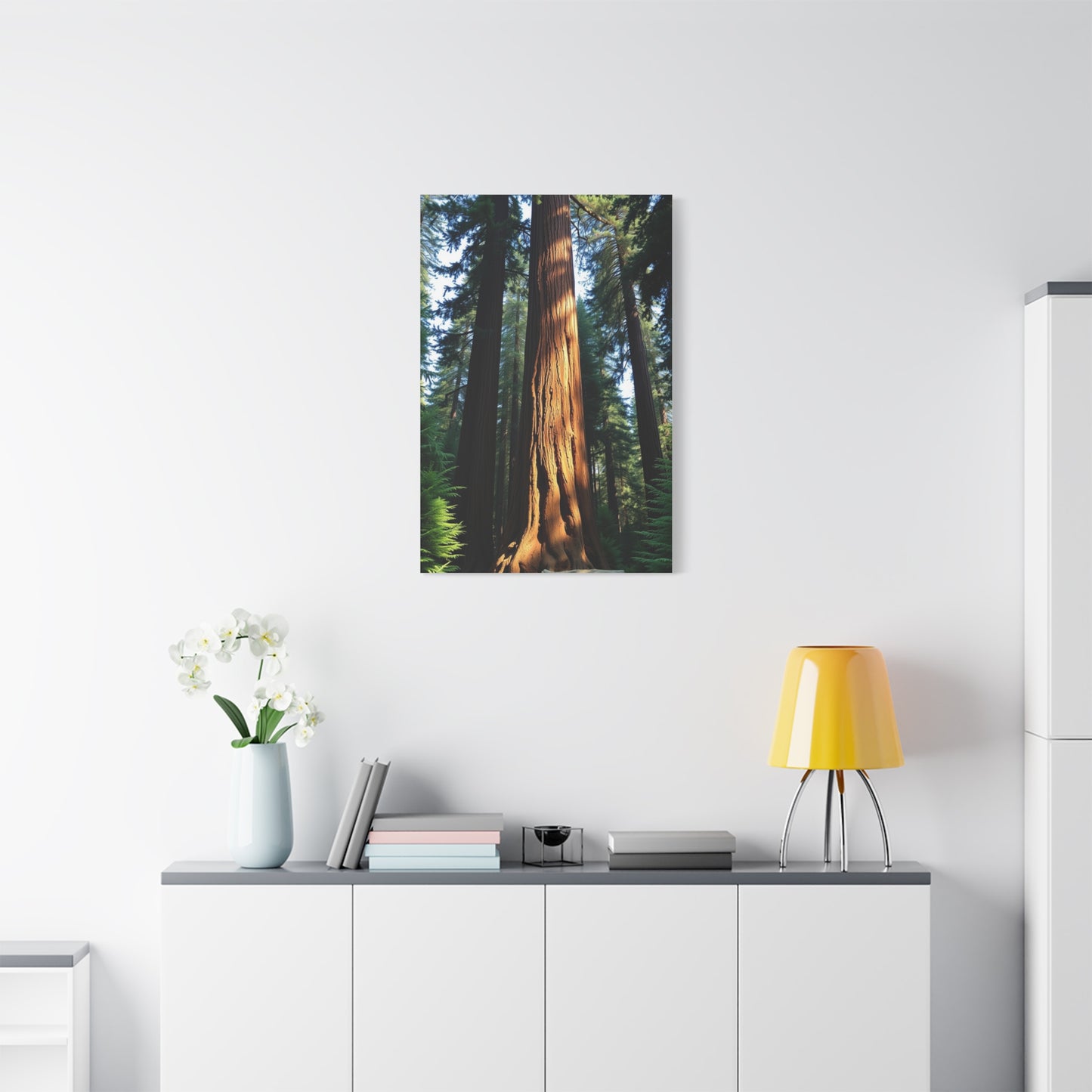 Supreme Redwood Tree Art Beautiful Collection Wall Art & Canvas Print