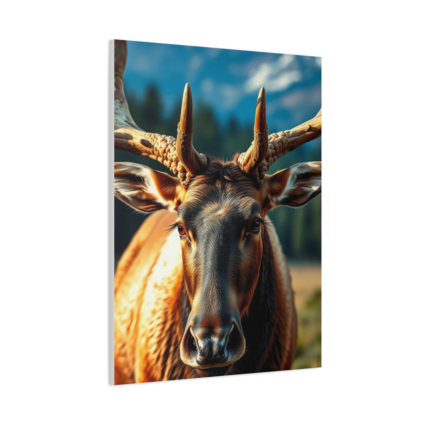 Supreme Elk Art Beautiful Collection Wall Art & Canvas Print