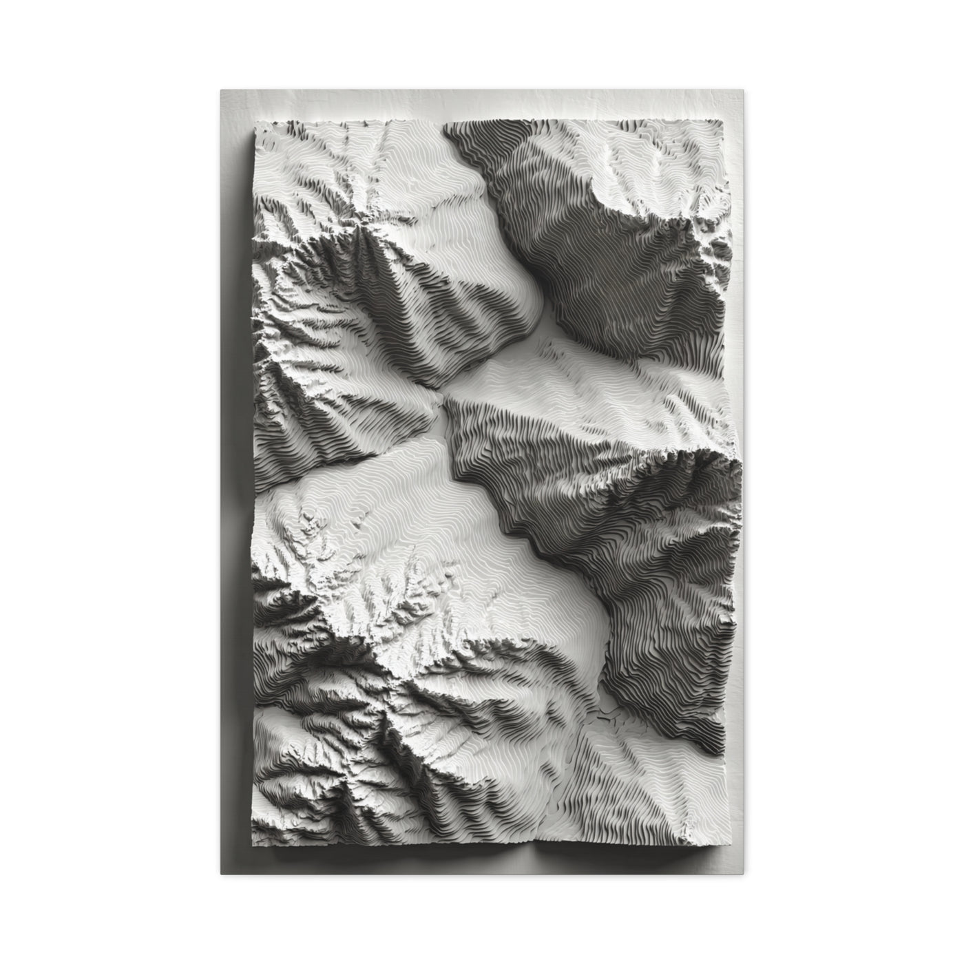Sculpted Topographic Relief Wall Art & Canvas Print