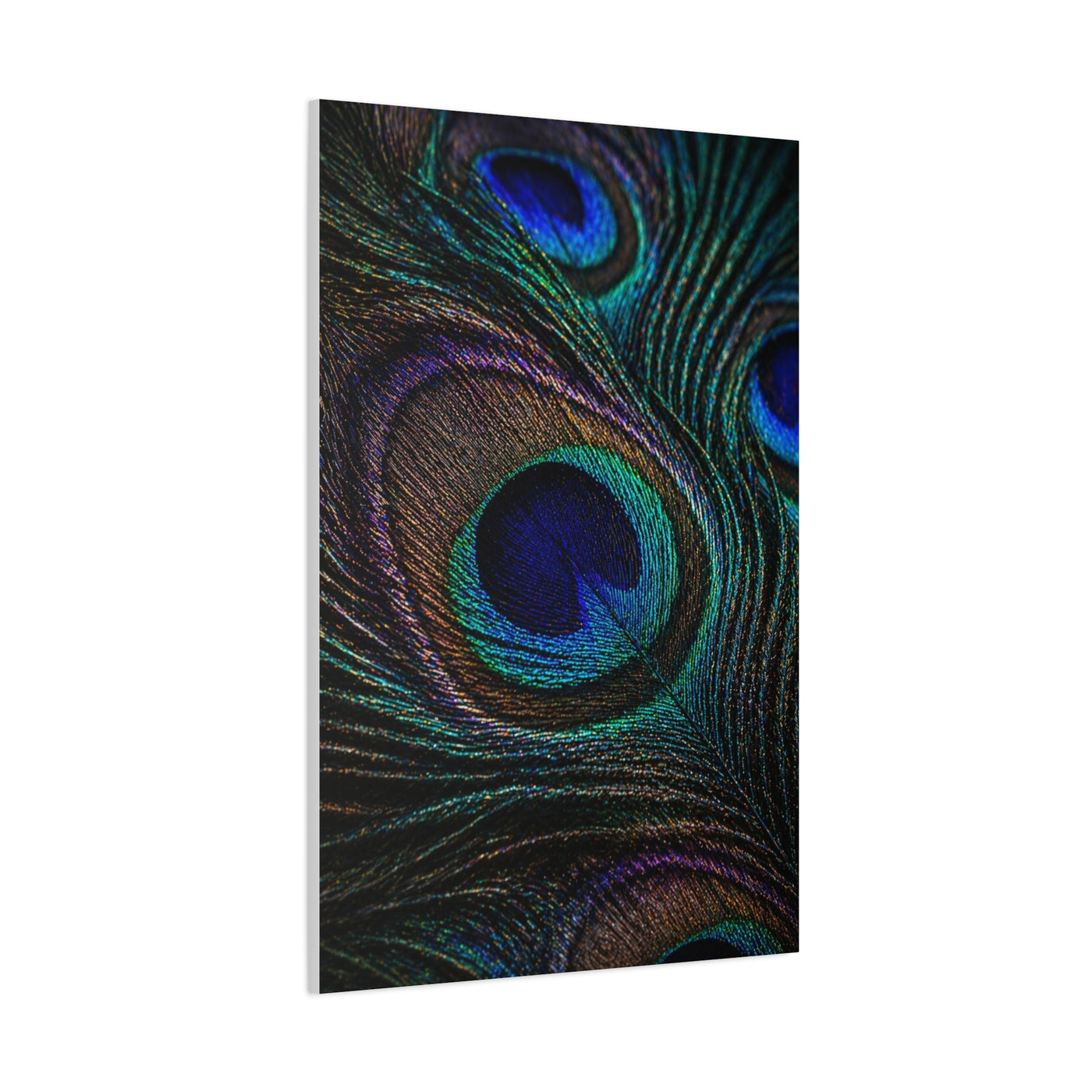 Macro Iridescent Peacock Feather Wall Art & Canvas Print
