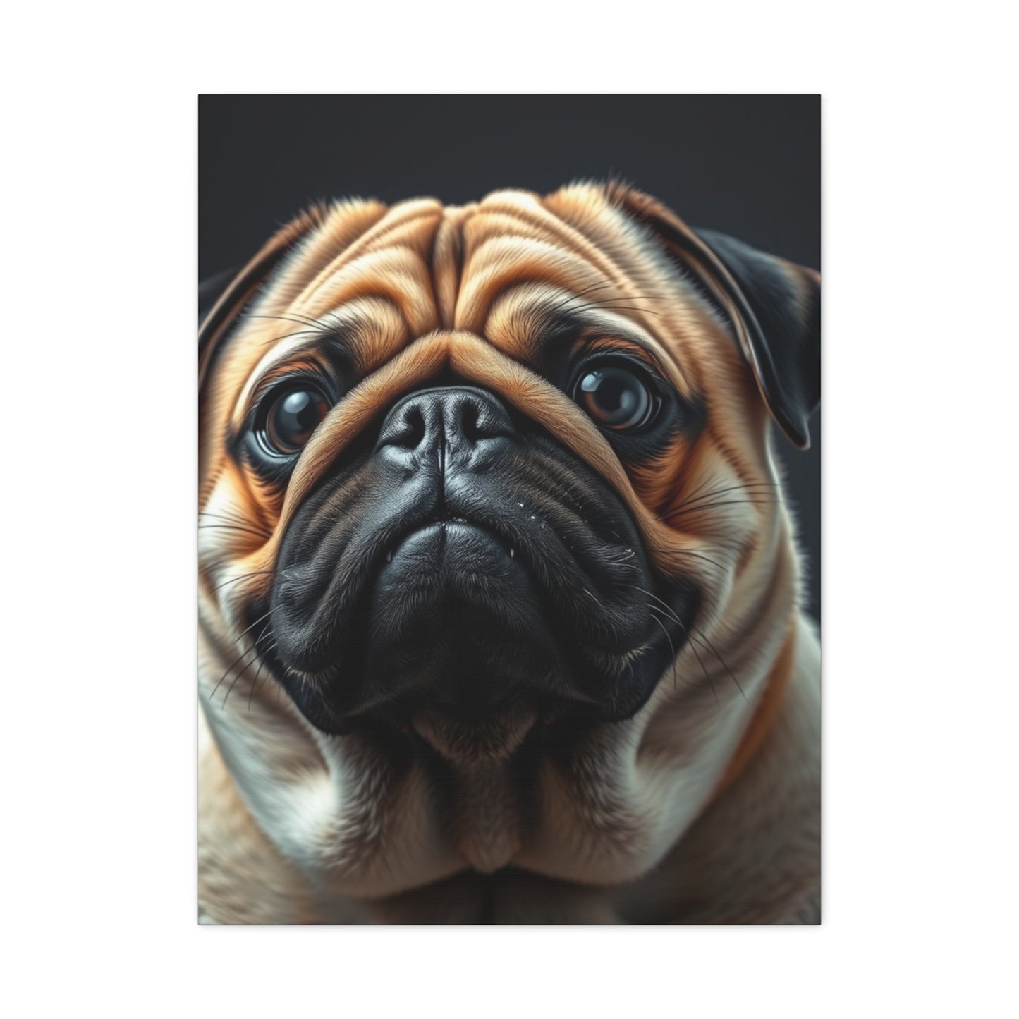 Supreme Pug Art Beautiful Collection Wall Art & Canvas Print
